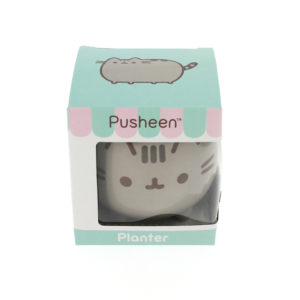 pusheen