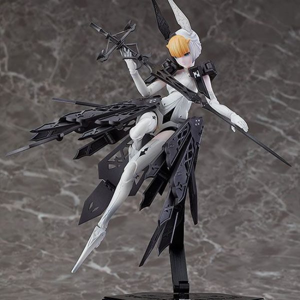 x_gsc16563_b