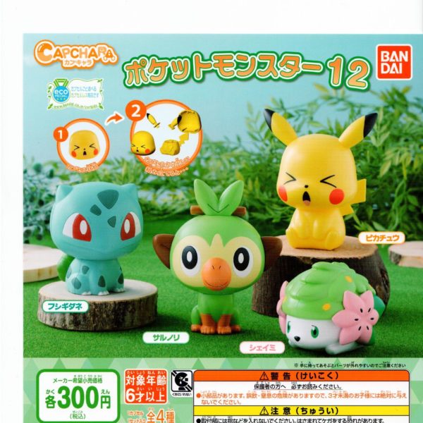 pokemon1